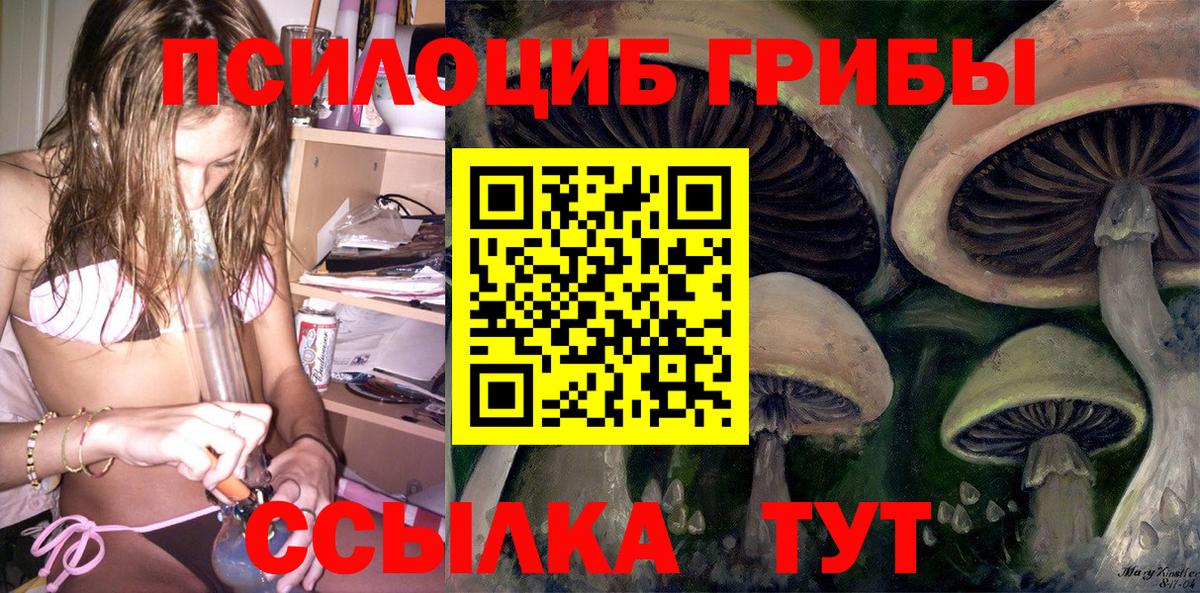 Галлюциногенные грибы Cubensis  Вход с VPN  Тамбов 